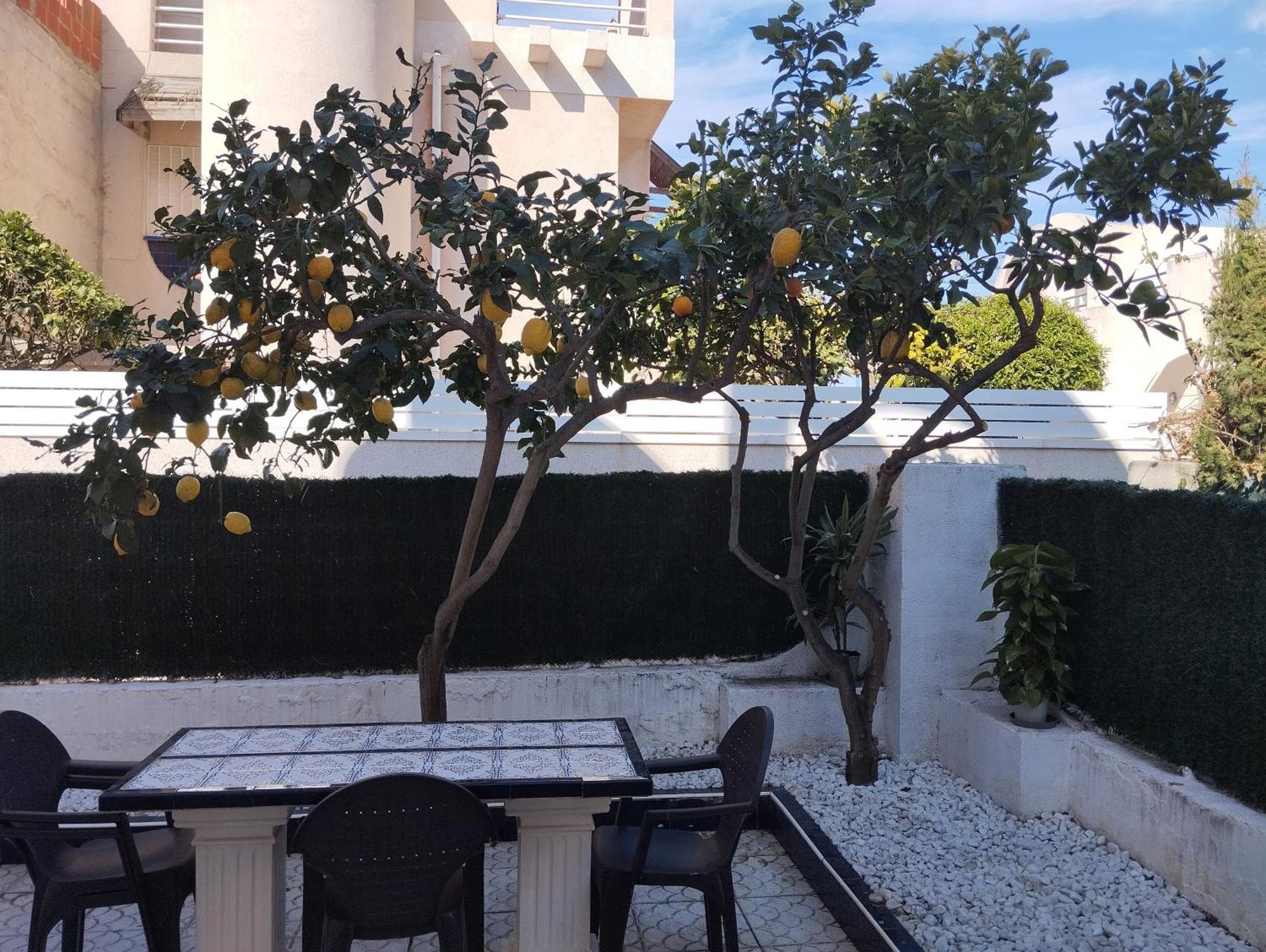 Z&R - Alcyone Villa Torrevieja Esterno foto